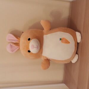 Rito the Rabbit 14 inch Squoshmallow Hug Mee